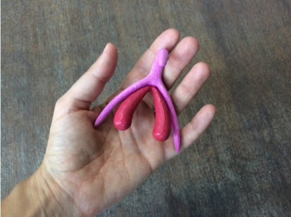 un-clitoris-en-3d-para-educar-sobre-sexualidad