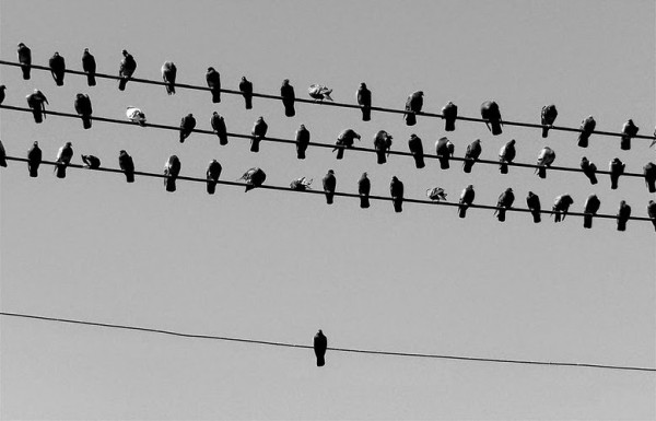 carta-a-quien-me-lastimo